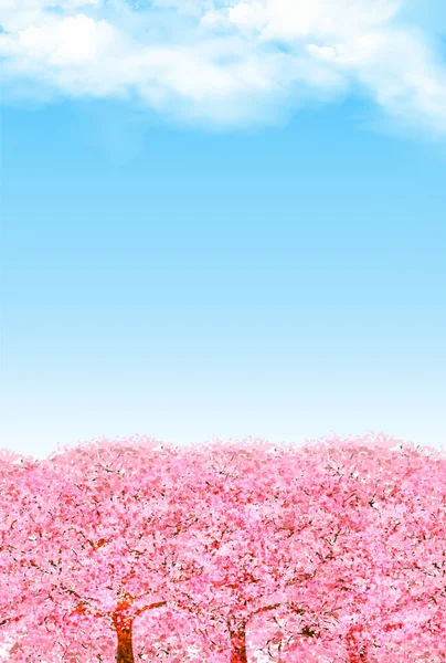 Cherry Blossom Spring Flower Background — Stock Vector