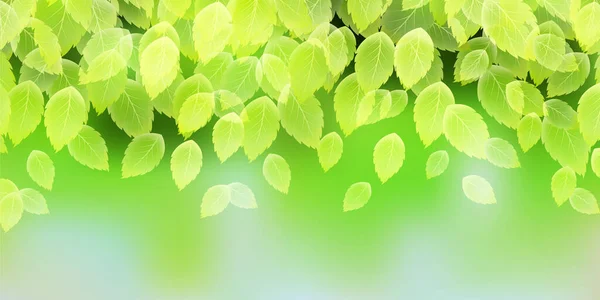 Fresh Green Leaves Spring Background — Stock Vector