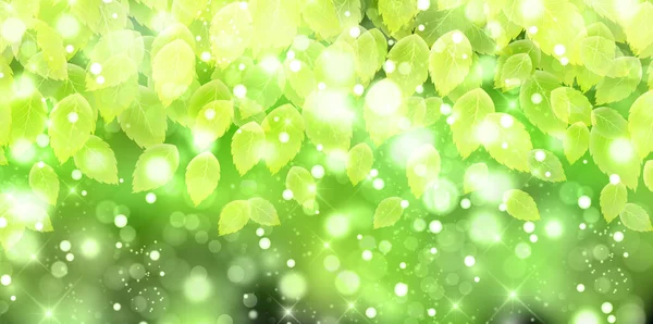 Fresco Verde Foglie Primavera Sfondo — Vettoriale Stock