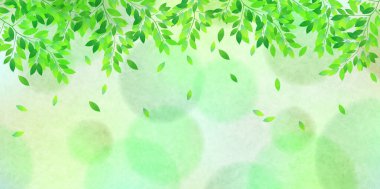 taze yeşil yapraklar bahar arkaplanı