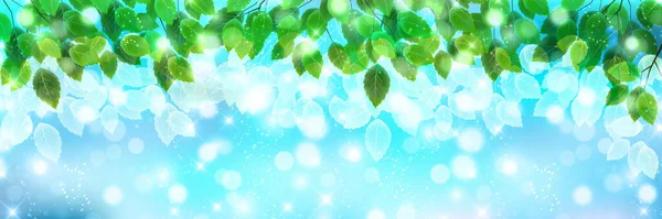 Frische Grüne Blätter Frühling Hintergrund — Stockvektor