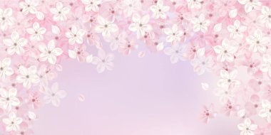 Kiraz ağacı bahar çiçeği arka planı