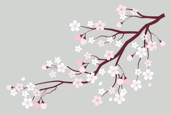 Cherry tree spring flower icon