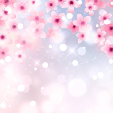 Kiraz ağacı bahar çiçeği arka planı