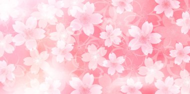 Kiraz ağacı bahar çiçeği arka planı