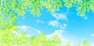 taze yeşil yapraklar bahar arkaplanı