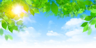 taze yeşil yapraklar bahar arkaplanı