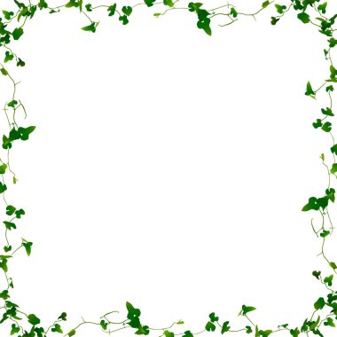 Eğreltiotu bitki örtüsü arka planı