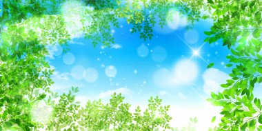 taze yeşil yapraklar bahar arkaplanı