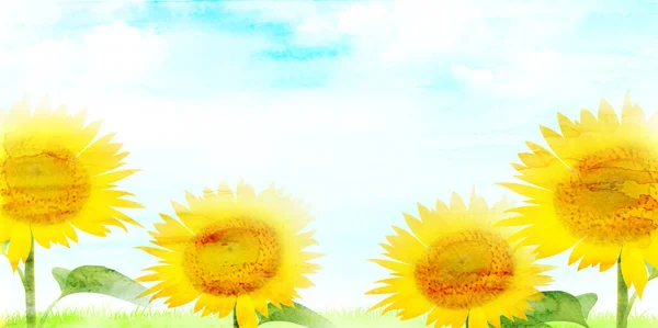 Sunflower Summer Sky Watercolor Landscape — Stock vektor