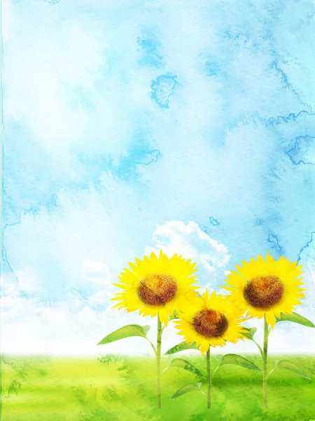Sunflower Summer Sky Watercolor Landscape — Vetor de Stock
