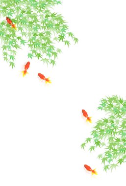 Japon Balığı yaz mevsimi Akçaağaç arka planını selamlıyor 