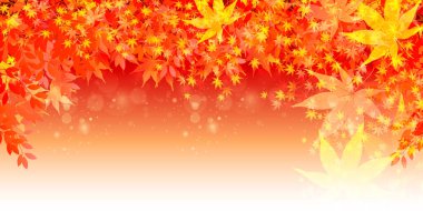 Sonbahar yaprakları akçaağaç sonbahar arkaplanı 