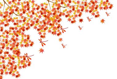 Sonbahar yaprakları akçaağaç sonbahar arkaplanı 