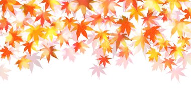 Sonbahar yaprakları akçaağaç sonbahar arkaplanı 