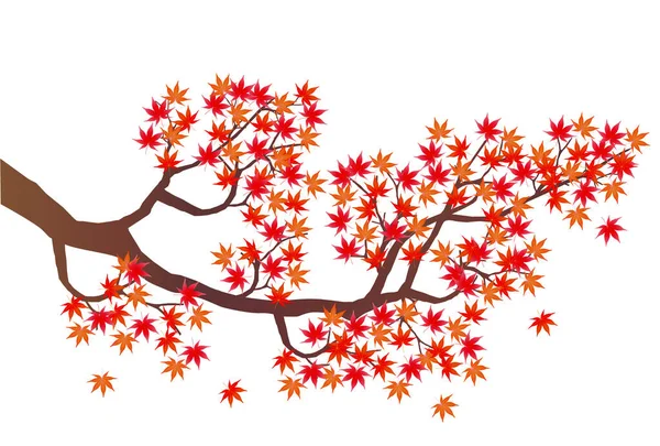 Podzimní Listí Podzimní Ikony — Stockový vektor