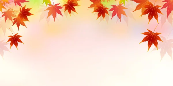 Autumn leaves autumn landscape background