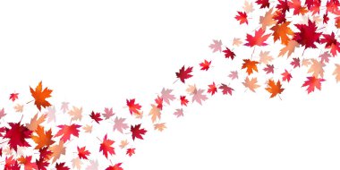 Sonbahar yaprakları akçaağaç sonbahar arkaplanı 