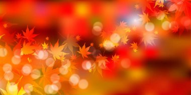 Sonbahar yaprakları akçaağaç sonbahar arkaplanı 