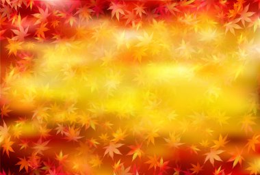 Sonbahar yaprakları akçaağaç sonbahar arkaplanı 