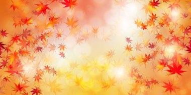 Sonbahar yaprakları akçaağaç sonbahar arkaplanı 