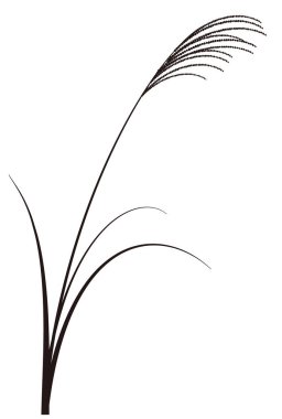 15 Gece Sonbahar Miscanthus Simgesi