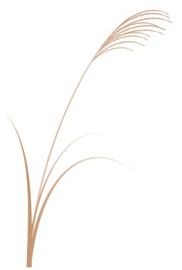 15 Gece Sonbahar Miscanthus Simgesi