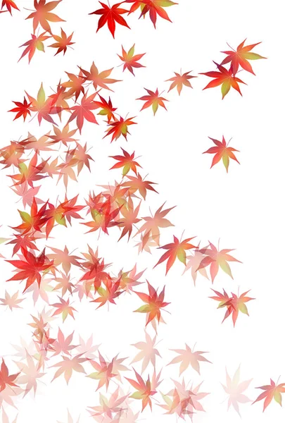 Autumn Leaves Maple Autumn Background — Stock Vector