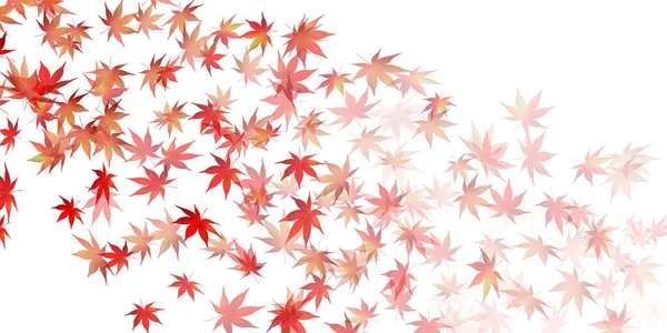 Otoño Hojas Arce Fondo Otoño — Vector de stock