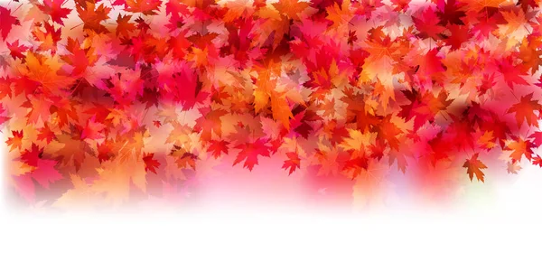 Autumn Leaves Maple Autumn Background — Stock Vector