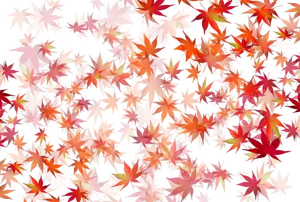 Feuilles Automne Érable Fond Automne — Image vectorielle