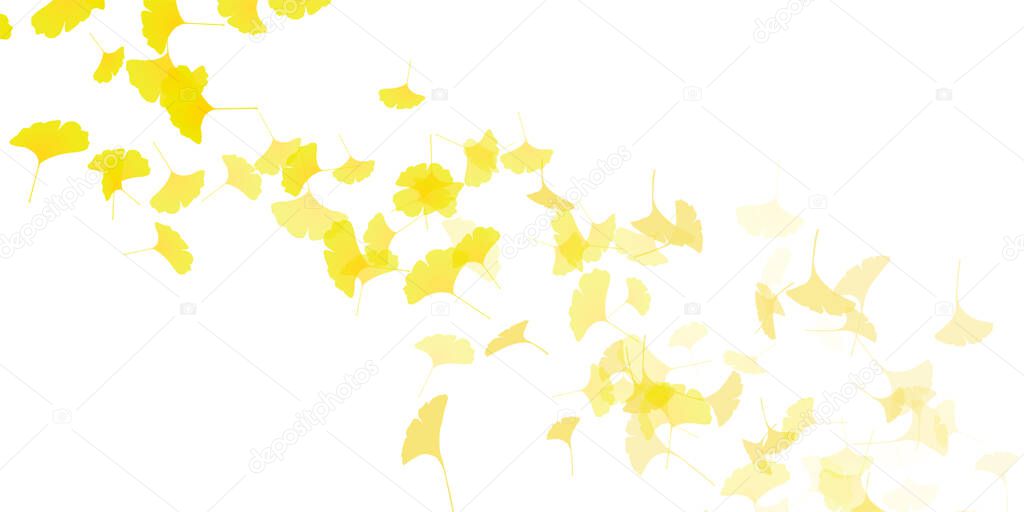 Ginkgo autumn leaf landscape background 