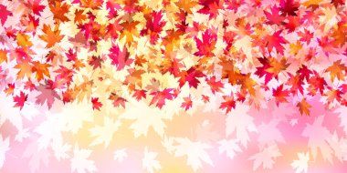 Sonbahar yaprakları akçaağaç Japon desenli arka plan 