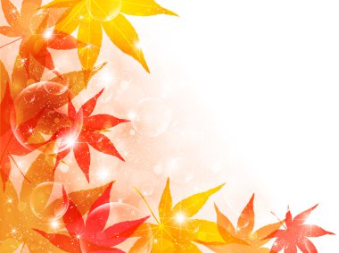 arka plan akçaağaç sonbahar yaprakları