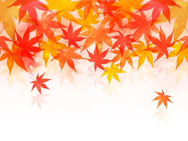 Arce hojas de otoño fondo — Vector de stock