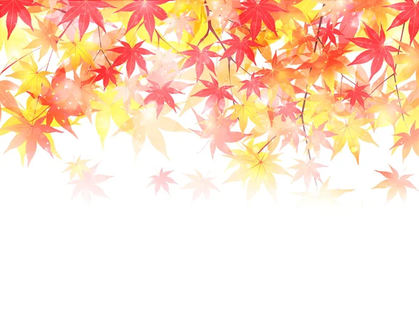 もみじ紅葉背景 — ストックベクタ