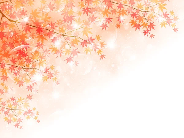 Ahorn Herbst Blätter Hintergrund — Stockvektor