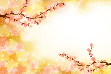 Erik kartpostal arka plan