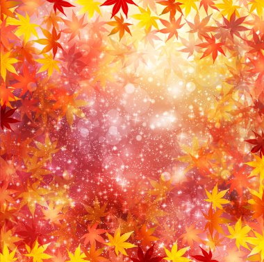 arka plan akçaağaç sonbahar yaprakları