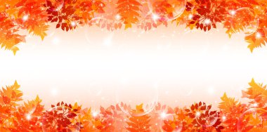 akçaağaç sonbahar yaprakları