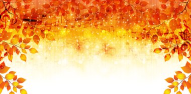 akçaağaç puanı notları