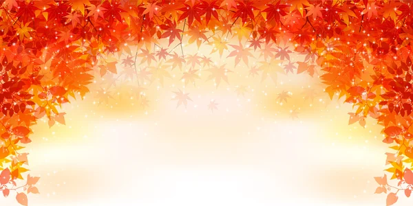 Maple autumn leaves — Stock Vector