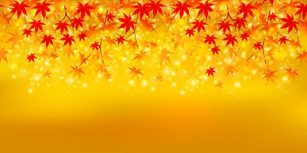 秋天的枫叶 — 图库矢量图片