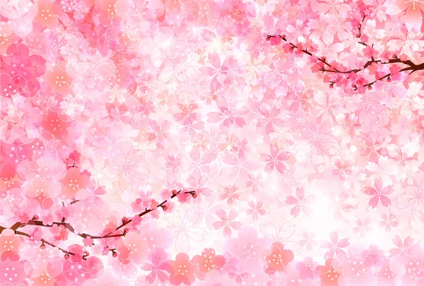 梅桜グリーティング カード — ストックベクタ
