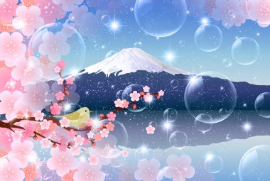 Fuji Erik tebrik kartları