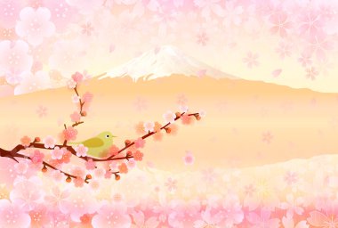 Fuji Erik tebrik kartları