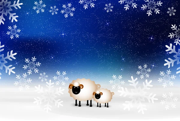 Tarjetas de felicitación de oveja fondo — Vector de stock