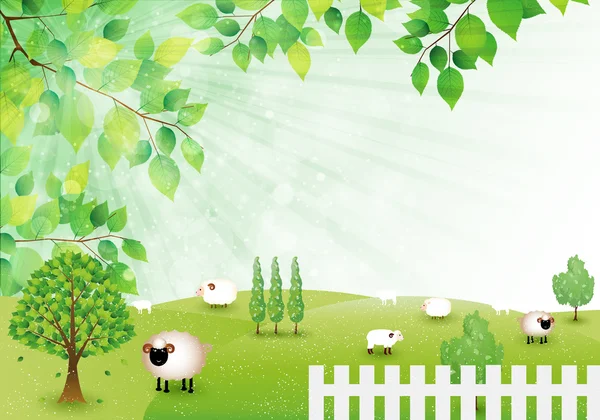 Moutons cartes de voeux fond — Image vectorielle