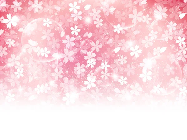 Kiraz çiçeği arkaplanı