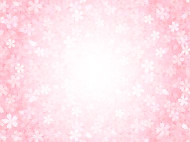 Kiraz çiçeği arkaplanı